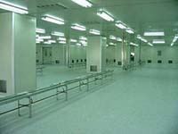 �f�������g