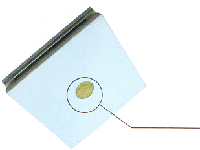 �ֹ��r�ް�